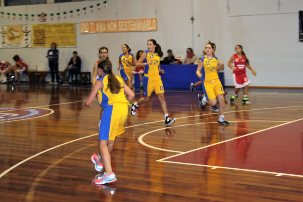 img_6604