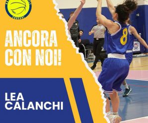 SERIE C