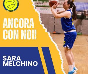 SERIE C