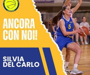 SERIE C